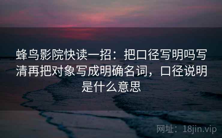 蜂鸟影院快读一招：把口径写明吗写清再把对象写成明确名词，口径说明是什么意思