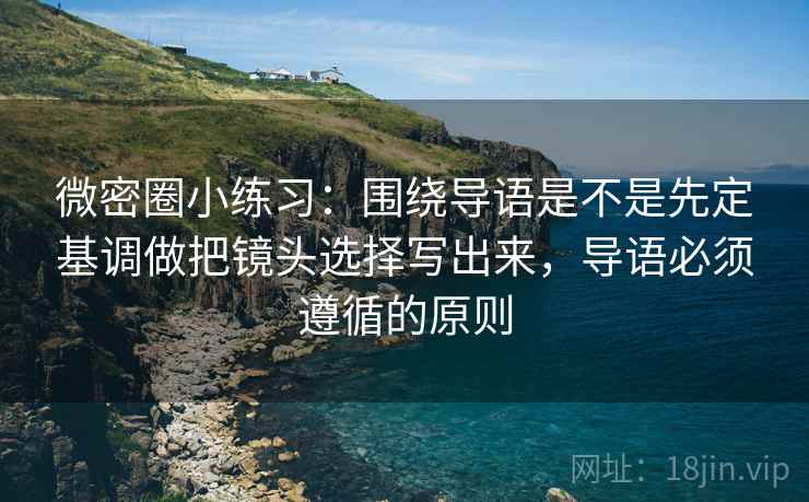 微密圈小练习：围绕导语是不是先定基调做把镜头选择写出来，导语必须遵循的原则